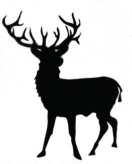 Cerf