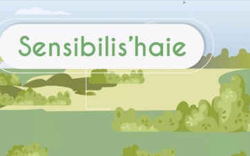 Sensibilis'haie