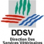 Logo DDSV