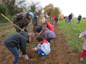 plantation de haie